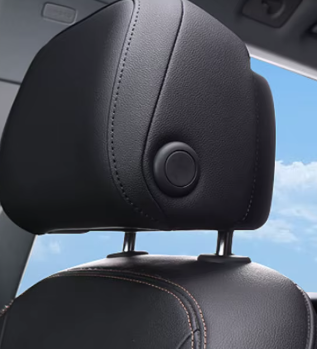 Show me tell me questions Head restraint 